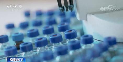 勇攀科技高峰 創(chuàng)新決勝未來 | 微生物科學構筑生命健康科技攻關高地