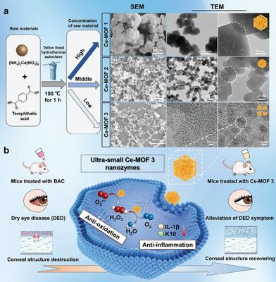 干眼治療新路徑!復(fù)旦團隊研發(fā)納米酶"刷"掉過量眼表活性氧