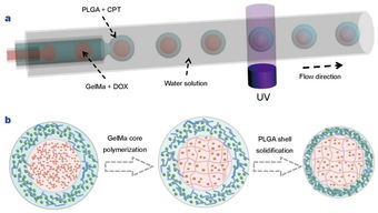 生物材料的多樣性和dds設計 藥物傳遞系統 ?？瘓D文詳解