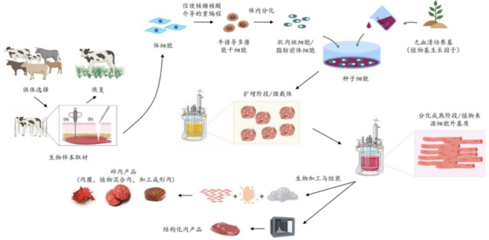 226起投融資、52個過億項目.食品飲料行業有哪些潛力賽道值得挖掘?