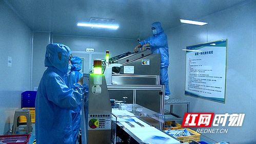 湖南省微生物學會赴安調研，推動生物基材料技術研發創新